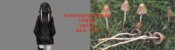 крисы Ельня