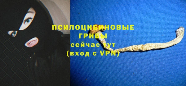 крисы Ельня